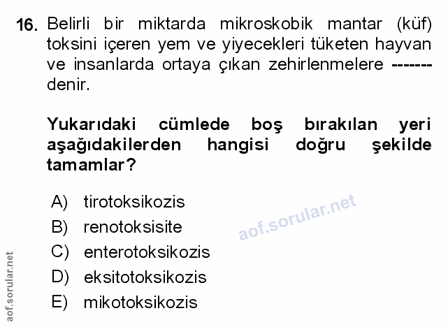 Soru 16