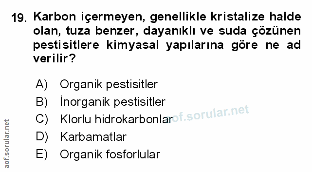 Soru 19