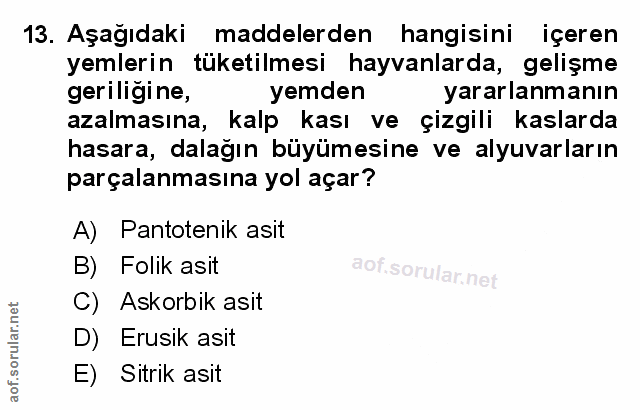 Soru 13