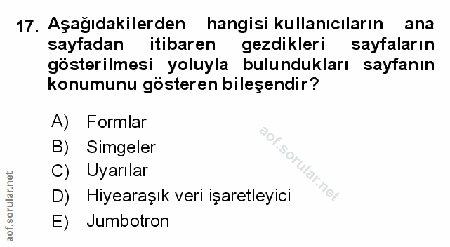 Soru 17
