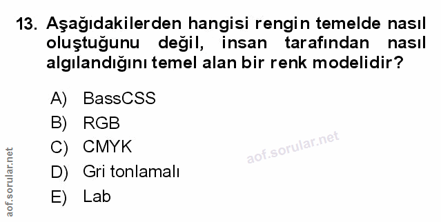 Soru 13