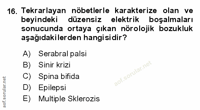 Soru 16