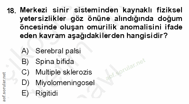 Soru 18