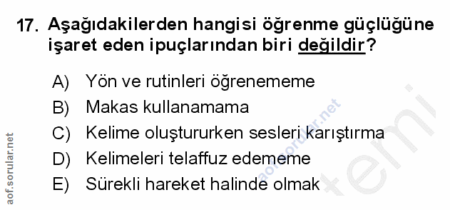 Soru 17