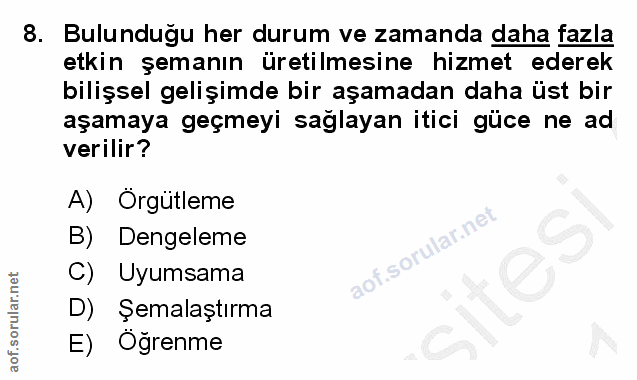 Soru 8