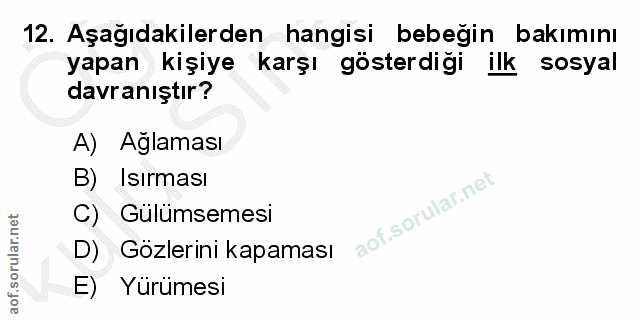 Soru 12