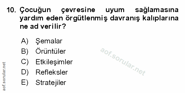 Soru 10