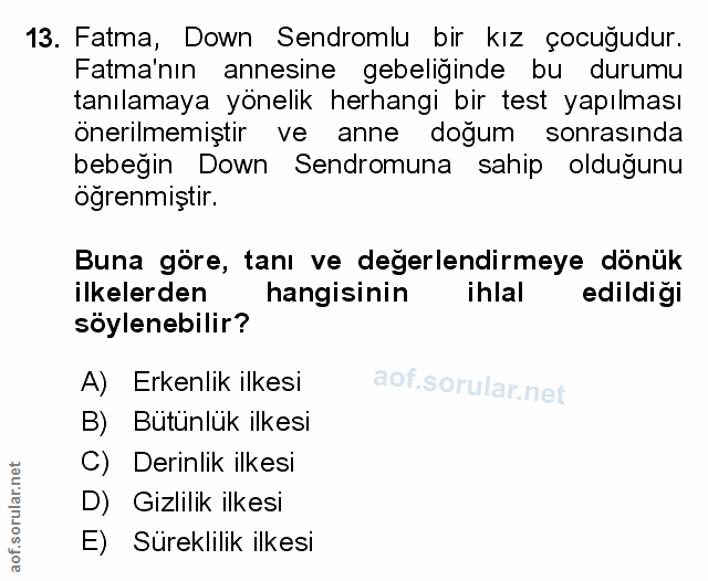 Soru 13