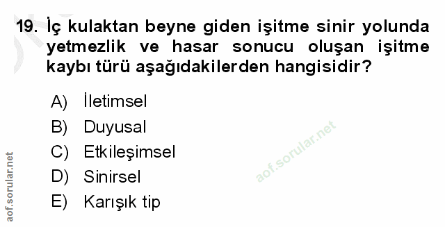 Soru 19