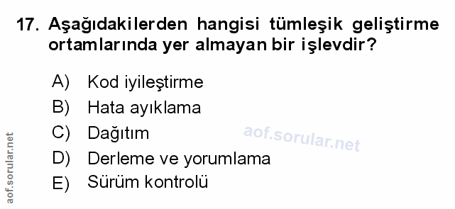 Soru 17