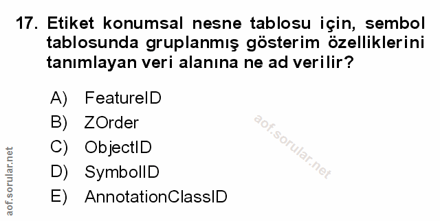 Soru 17