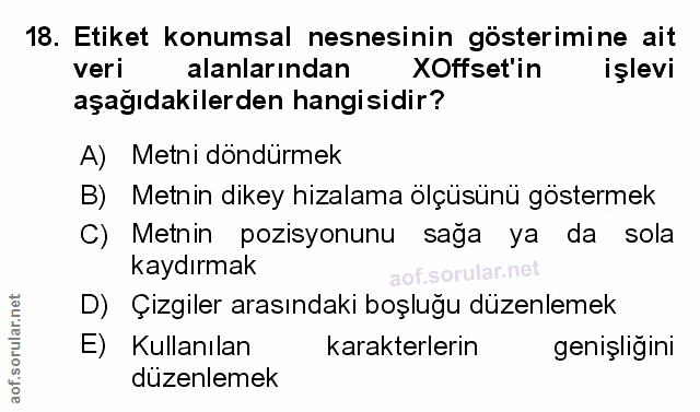 Soru 18