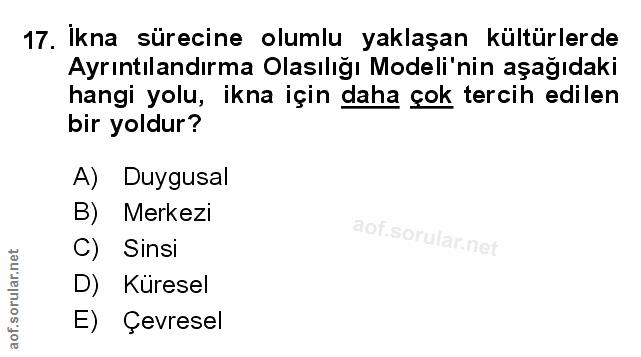 Soru 17