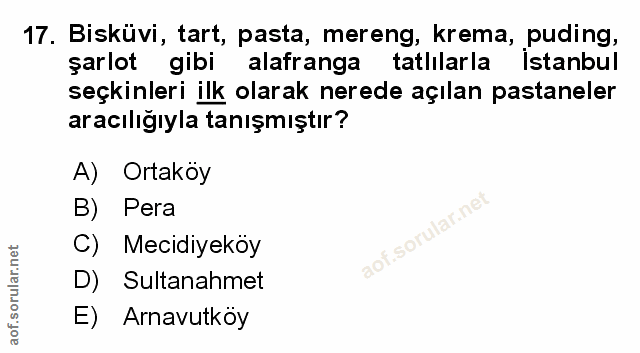 Soru 17