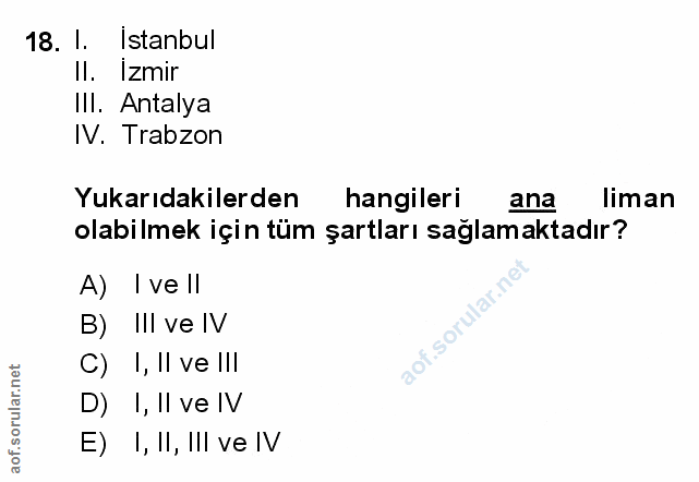 Soru 18