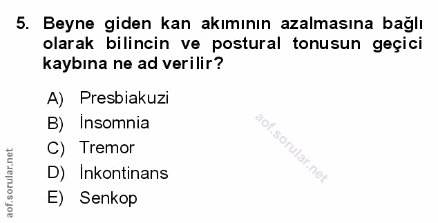 Soru 5