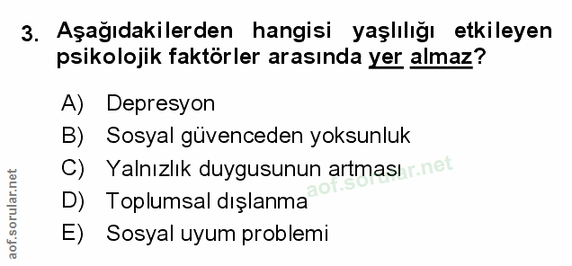 Soru 3