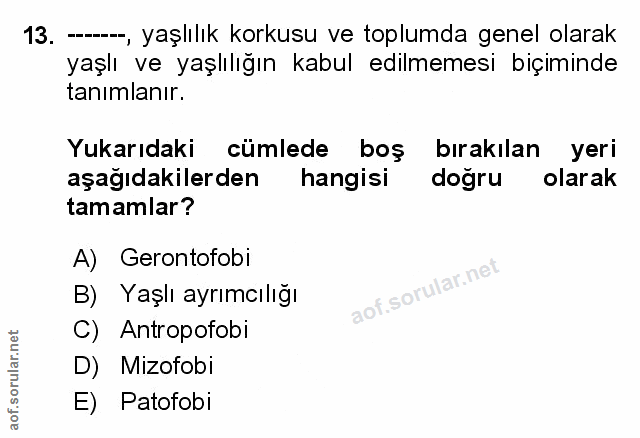 Soru 13