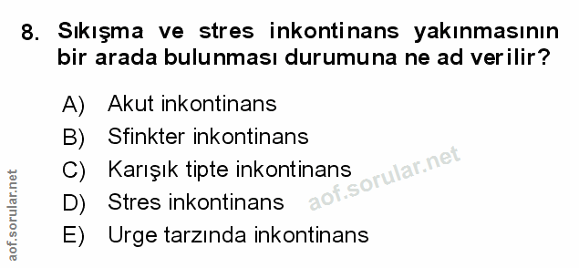 Soru 8