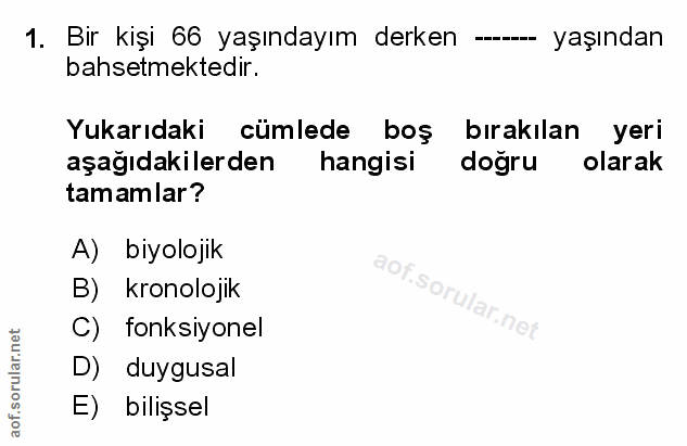Soru 1