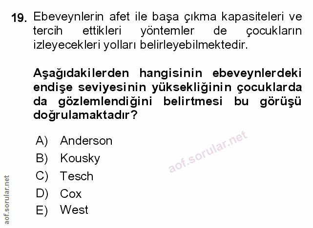 Soru 19