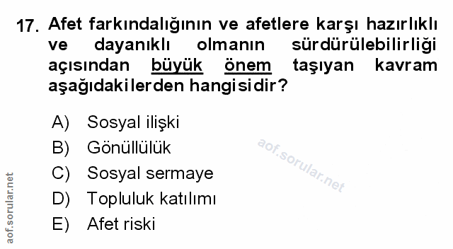 Soru 17
