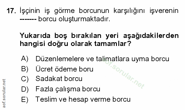 Soru 17