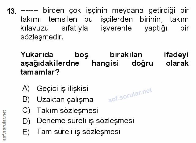Soru 13