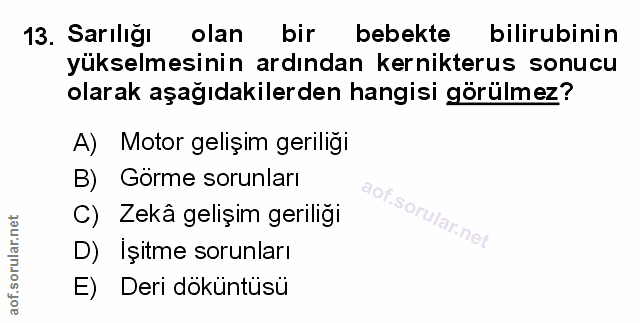 Soru 13