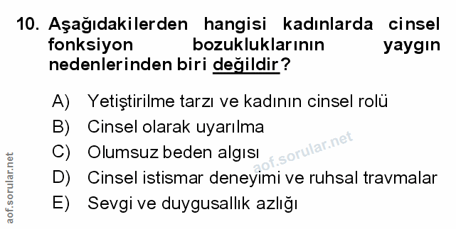 Soru 10
