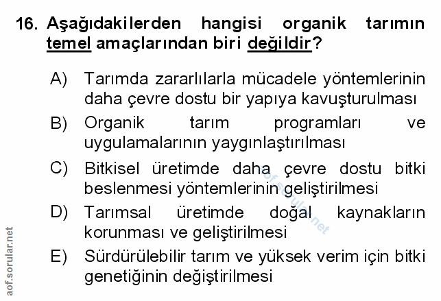 Soru 16