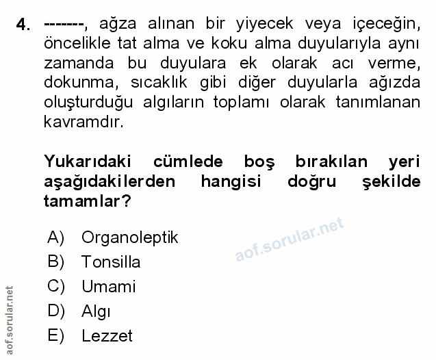 Soru 4