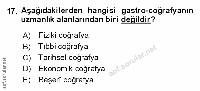 Soru 17