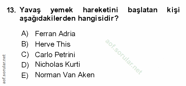 Soru 13