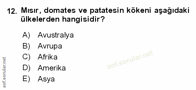 Soru 12