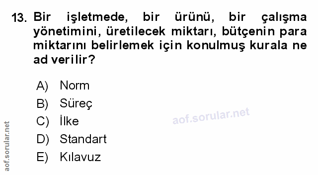 Soru 13