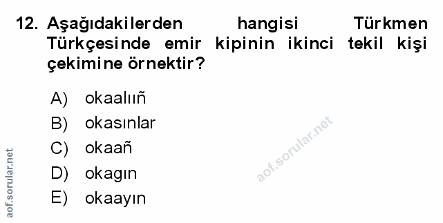 Soru 12