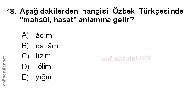 Soru 18