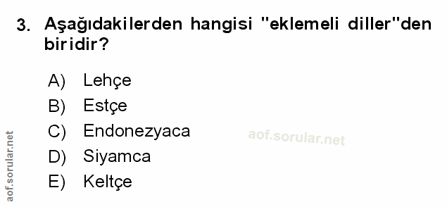 Soru 3