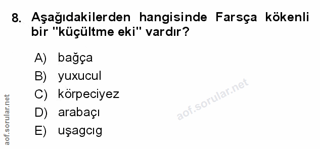 Soru 8