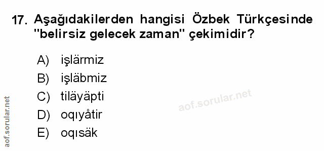 Soru 17