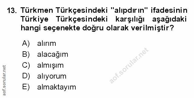 Soru 13