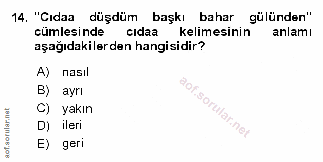 Soru 14
