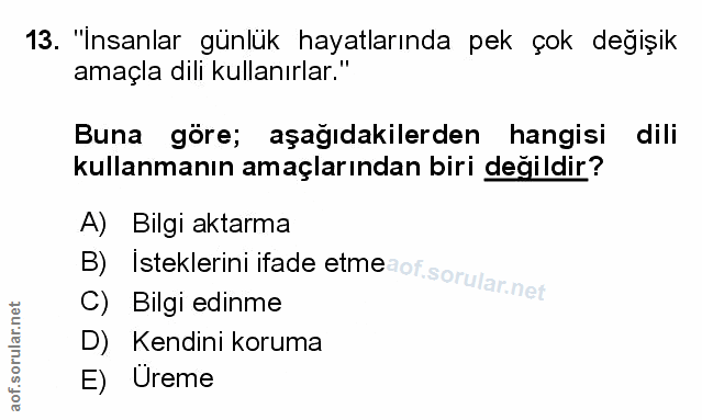 Soru 13