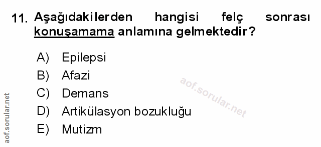 Soru 11
