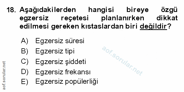 Soru 18