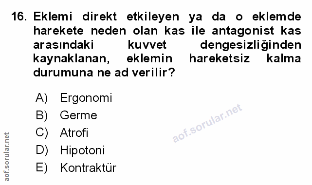 Soru 16