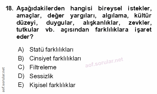 Soru 18