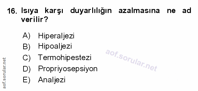 Soru 16