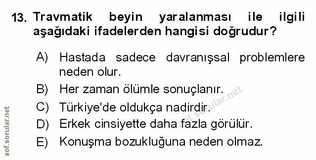 Soru 13